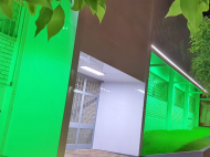verde-04